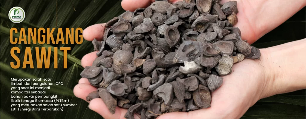 Cangkang kelapa sawit