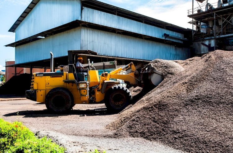 Bagaimana Pemanfaatan Lain dari Limbah Kelapa Sawit?